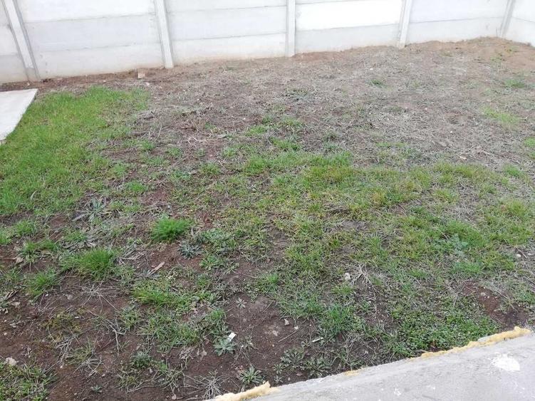 Casă cu 4 camere cu Teren 200 Mp în Chiajna