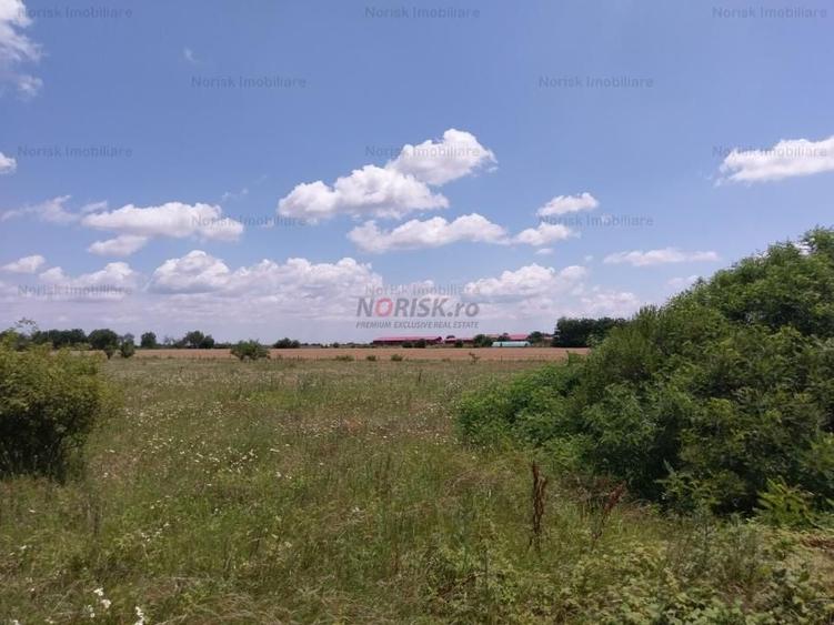 Teren agricol extravilan de 10000 mp, în Frumușani