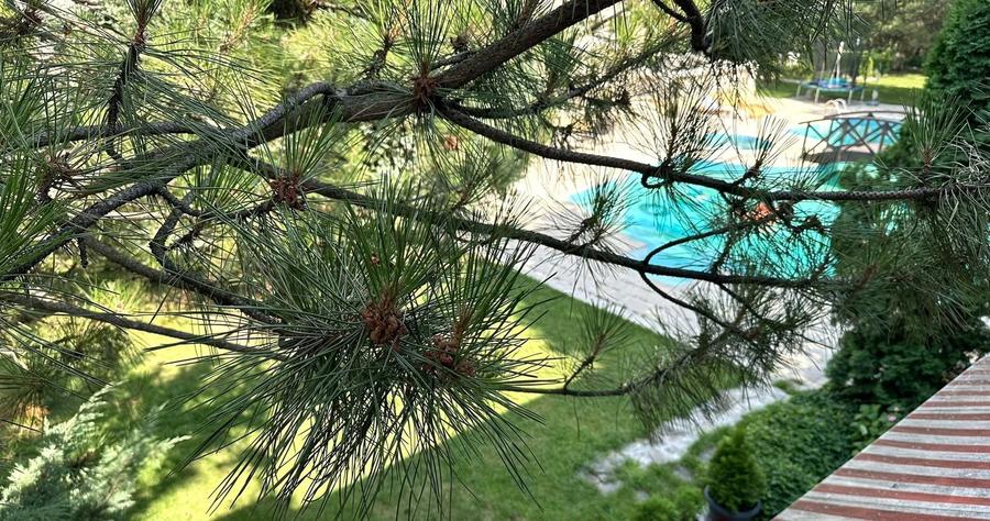 Casă cu 5 camere cu Piscina în Corbeanca