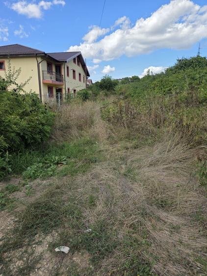 Teren de vanzare zona Bucium Plopii fara Sot - 3