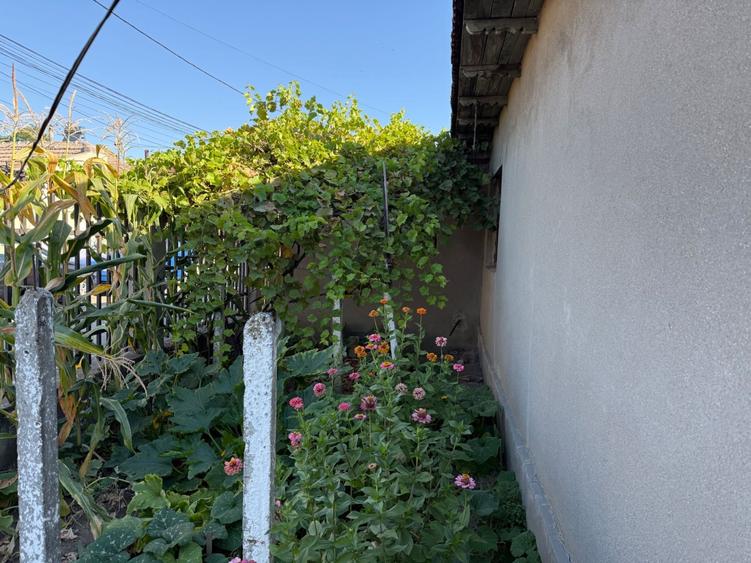 Casă cu 3 camere în Exterior Vest