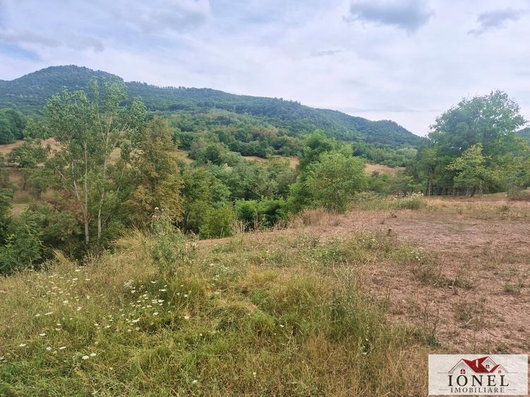 Casă individuală cu 3 camere cu Teren 6296 Mp în Meteș