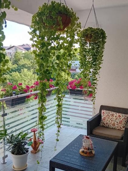 Apartament cu 3 camere decomandat în Rediu