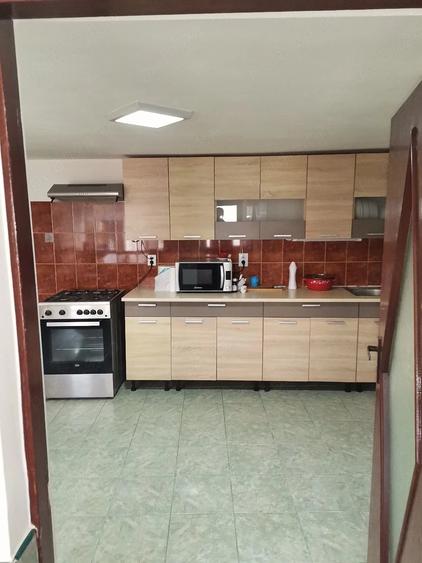 Casă cu Teren 8000 Mp în Turmaș