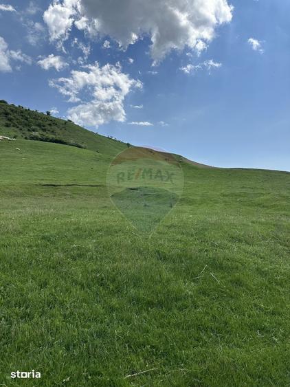 Teren de 1000 mp, în Gârcina