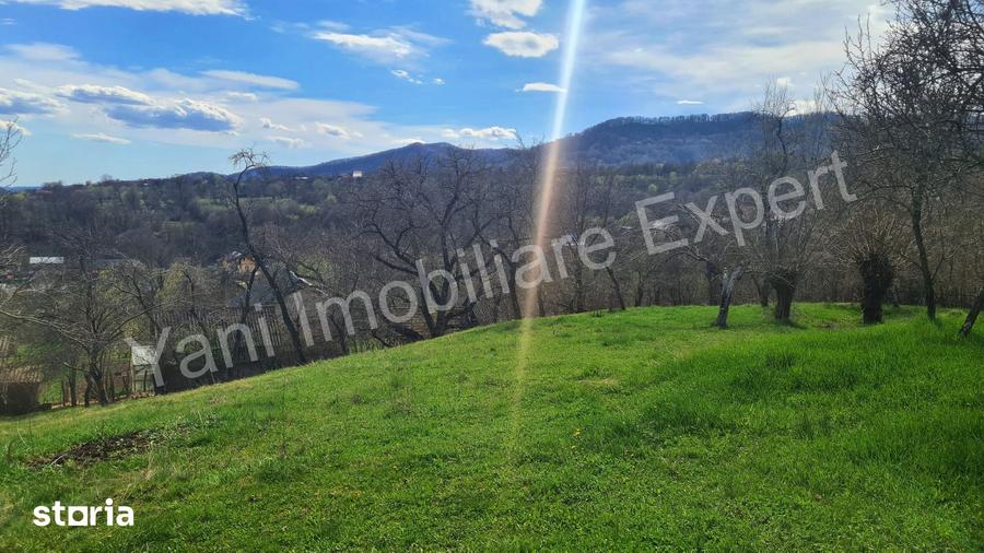 Teren de 3011 mp, în Bradu