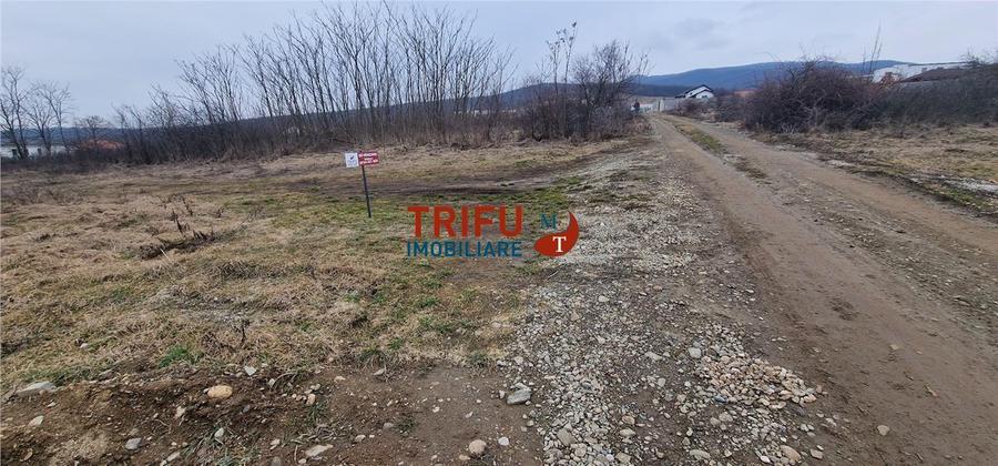 Teren Construcții intravilan de 1091 mp, în Cetate