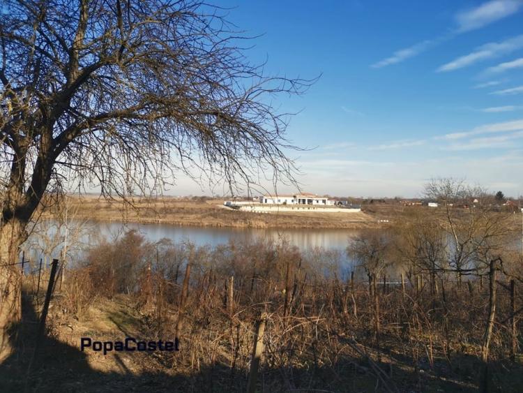 Teren Construcții intravilan de 1333 mp, în Moara Vlăsiei