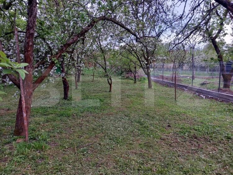 Teren Construcții intravilan de 600 mp, în Bercu Roșu