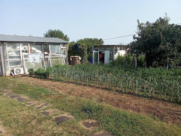 Teren de 2000 mp, în Puțu Greci