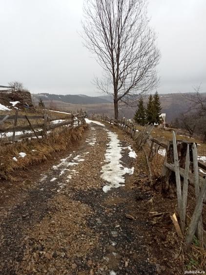 Teren în Mărișel