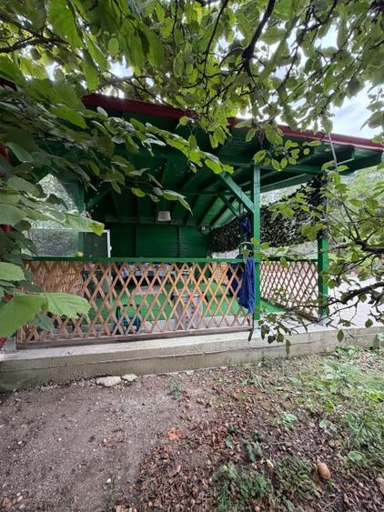 Teren Construcții intravilan de 20002 mp, în Tețcoiu