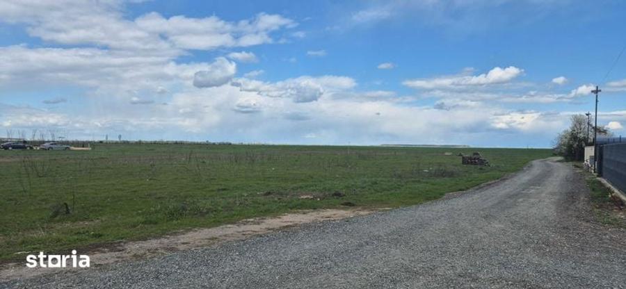 Teren de 1319 mp, în Brănești
