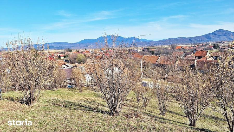 Teren de 17000 mp, în Central