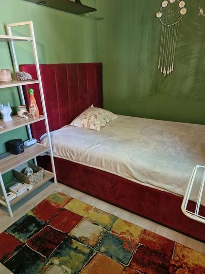 Apartament de inchiriat- nedecomandat- pet friendly - 5