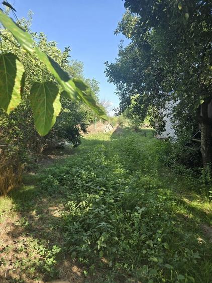 Casă cu 3 camere în Central