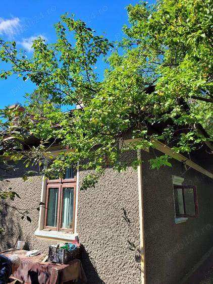 Casă cu 3 camere cu Teren 1360 Mp în Dridu