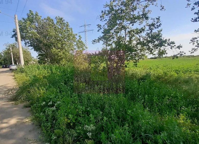 Teren de 5000 mp, în Copăceni