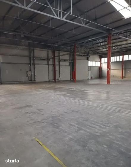 Hala industriala Ghimbav (4.125 mp) si spatiu administrativ (125 mp) - 5