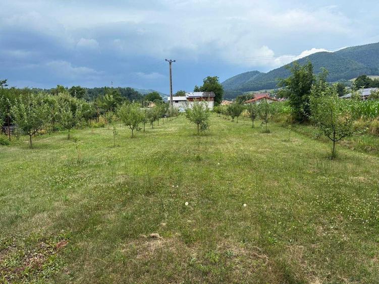 Spațiu comercial, în Bistrița