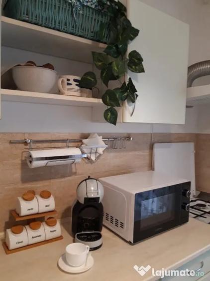 Apartament de inchiriat 1 camera Marasti - Cluj-Napoca (Cluj) - 7