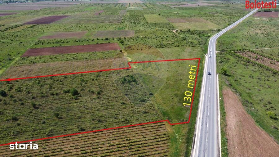 Teren de 33000 mp, în Jariștea