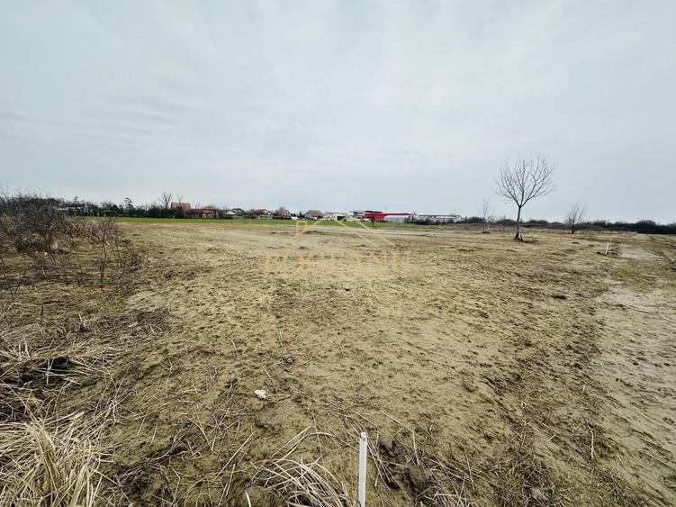 Teren Construcții intravilan de 694 mp, în Sânmihaiu Român