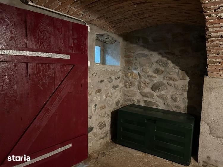 Casă cu 4 camere cu Teren 1650 Mp în Arpașu de Jos