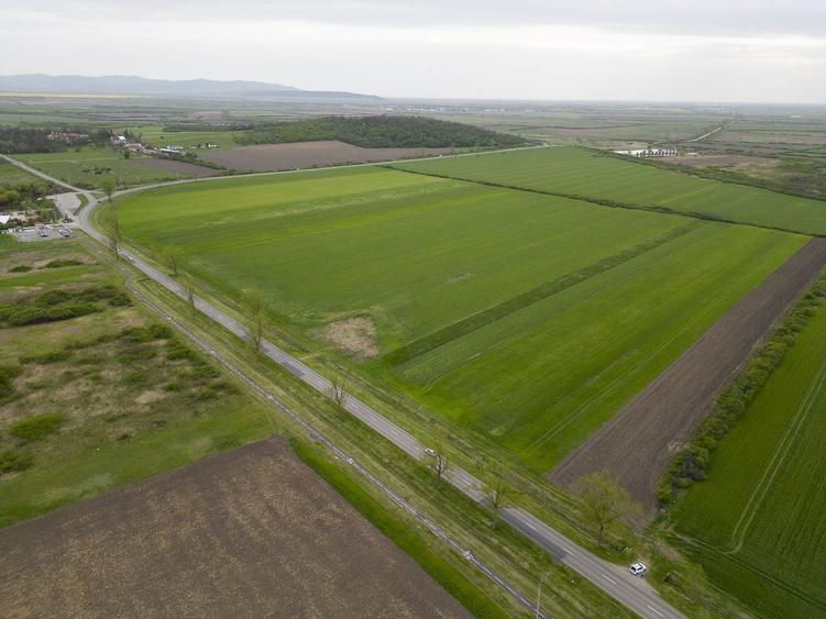 Teren agricol extravilan de 22500 mp, în Sud-Vest