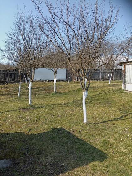Casă cu 2 camere cu Teren 1200 Mp în Central