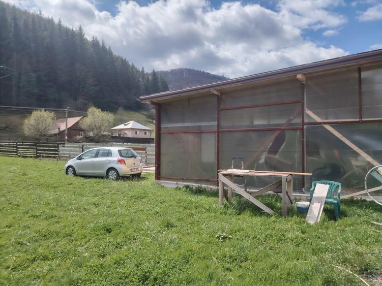 Spațiu comercial, în Vama Buzăului