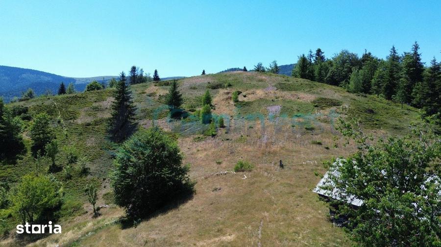 Teren de 16517 mp, în Arieșeni