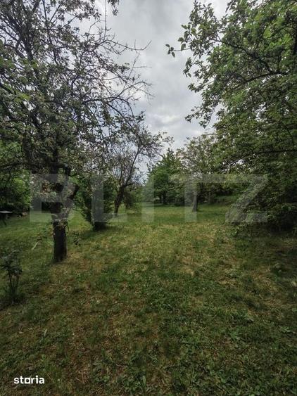 Teren de 14000 mp, în Mihai Viteazu