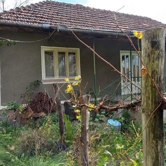 Casă cu Teren 1576 Mp în Central