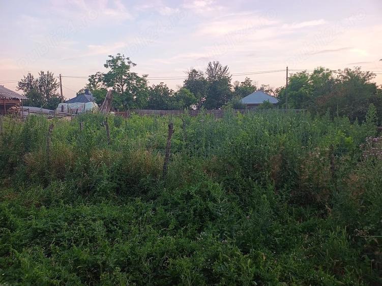 Casă cu 3 camere cu Teren 2500 Mp în Central