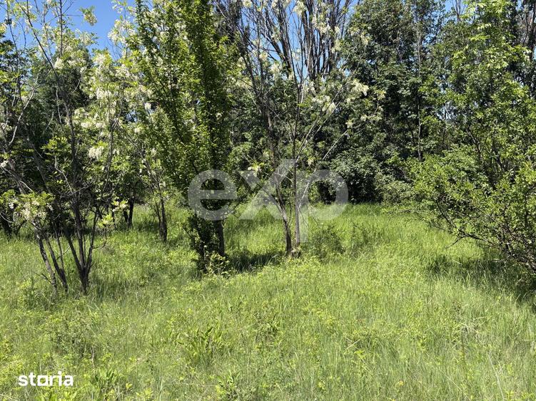 Teren 2.200 mp | 11 km de Pitesti | Vanzare integral sau parcela de 50 - 3