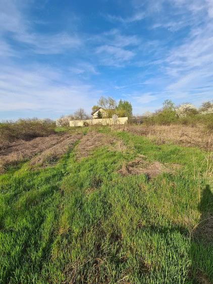 Teren intravilan - loc de casa Mihailesti - 1