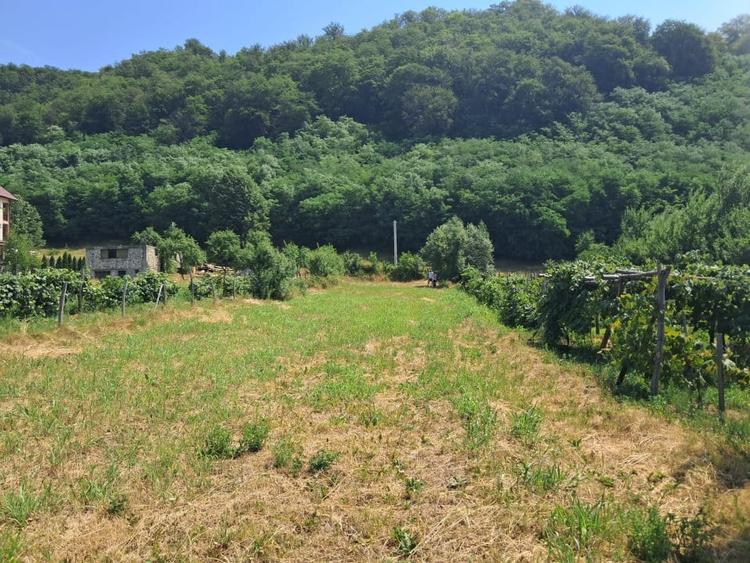 Teren Construcții intravilan de 1300 mp, în Polovragi