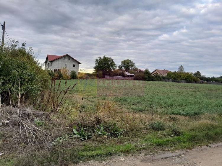 Teren Construcții intravilan de 2062 mp, în Coșereni