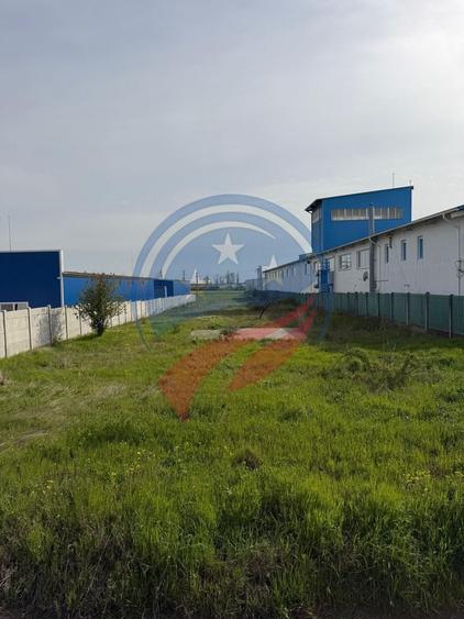 Teren Construcții intravilan de 4932 mp, în Malu Mare