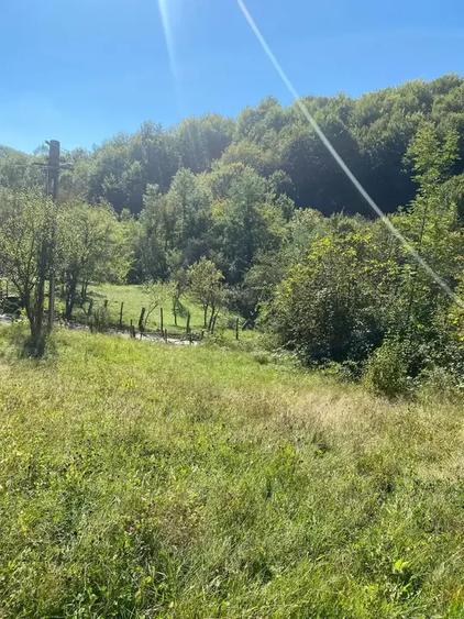 Teren intravilan de 2500 mp, în Urseiu