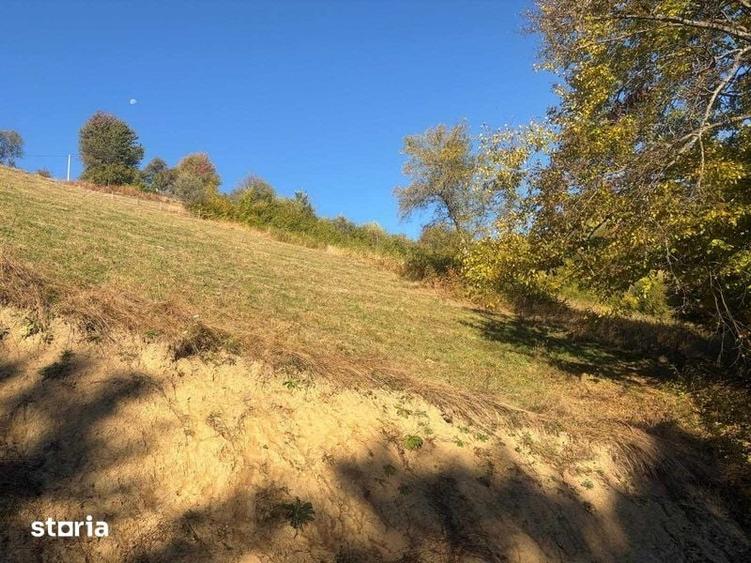Teren de 8927 mp, în Holbav