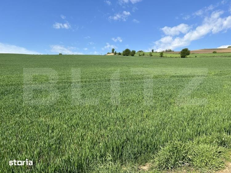 Teren generos 15.900 mp (intravilan + extravilan) in Sancraiu de Mures - 3