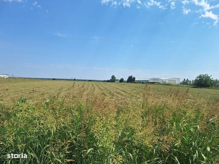 Teren de vanzare 23.298 mp | Ciorogarla, Ilfov |Acces rapid A1 si A0 - 6