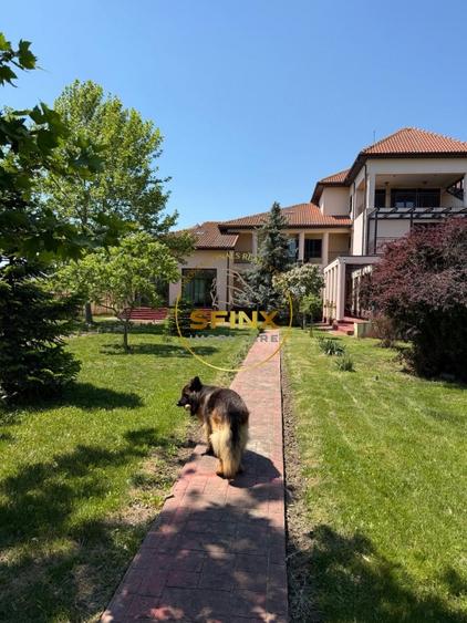 Casă individuală cu 13 camere cu Piscina în Crevedia