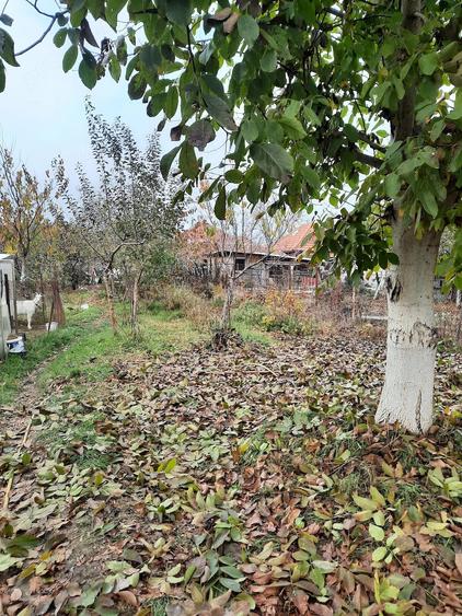 Casă cu 4 camere cu Teren 1370 Mp în Plopi