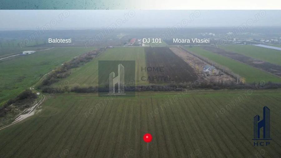 Teren de 10000 mp, în Căciulați
