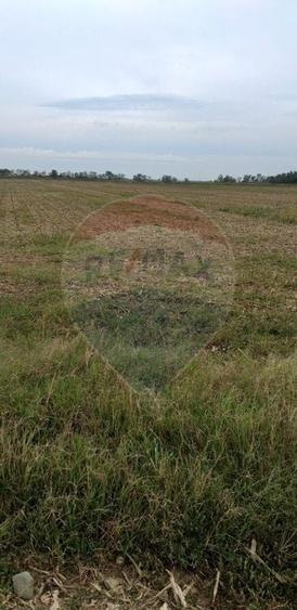 Teren agricol extravilan de 3000 mp, în Sântion