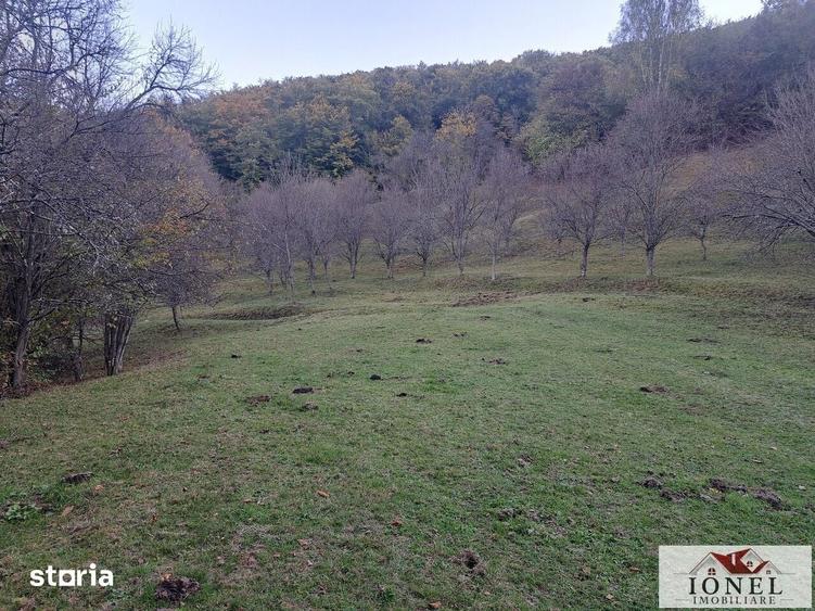 Casă cu 2 camere cu Teren 17399 Mp în Vințu de Jos
