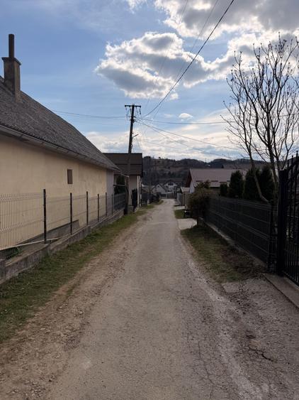 Spațiu comercial, în Vișeu de Jos